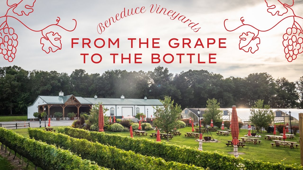 Careers in Food, Agriculture, and Natural Resources (S1, E1) : Beneduce Vineyards, Pittstown, NJ