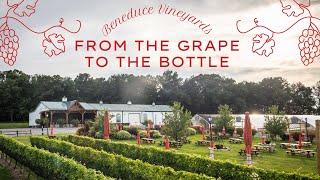 Careers in Food, Agriculture, and Natural Resources (S1, E1) : Beneduce Vineyards, Pittstown, NJ