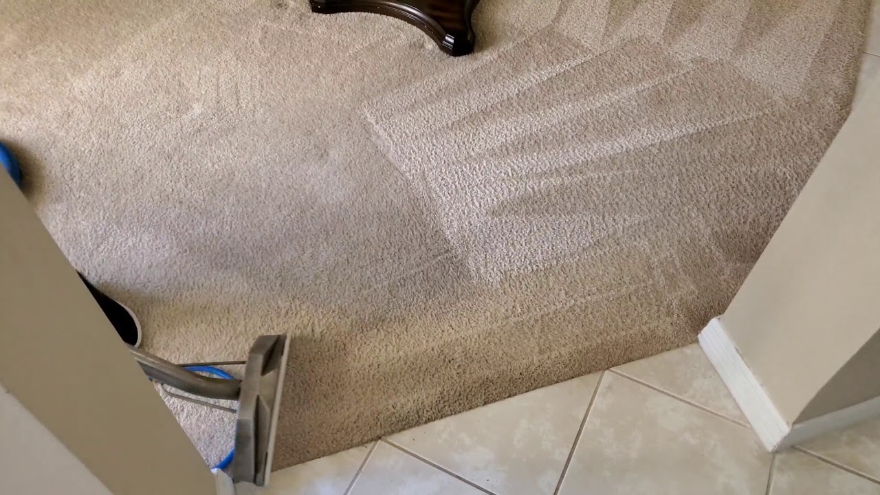 Husband Tried To Clean Carpets, But Wife Had To Call In Eagles Eye
