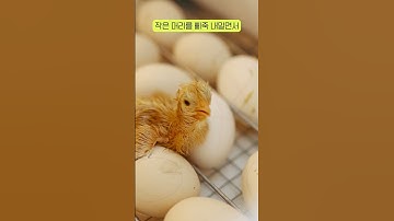 👋HelloWorld, 누가 시작했길래..? #shorts