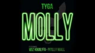 TYGA ft WIZ KHALIFA and MALLY MALL - MOLLY. (INSTRUMENTAL).