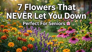 7 Flowers That Basically Grow Themselves (perfect for seniors)