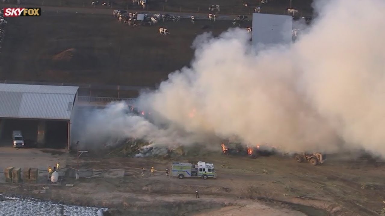 500 hay bales burned in fire at Mesa dairy farm, fire says - YouTube