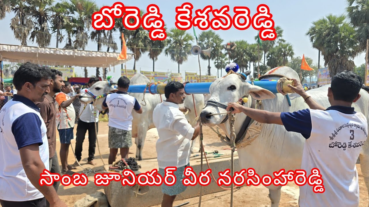 యాగంటి సీనియర్ విభాగంలో  5 బో రెడ్డి కేశవరెడ్డి పెద్దకోటాల రెండు బహుమతిని కైవసం చేసుకున్నారు  