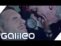 Das krasseste Horrorhaus der Welt | Galileo | ProSieben