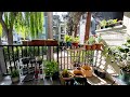 my patio garden | my cute patio🪴 | go green 🌱| planting ❤️