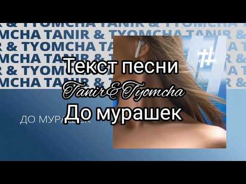 Текст Песни Tanir x Tyamcha - До Мурашек