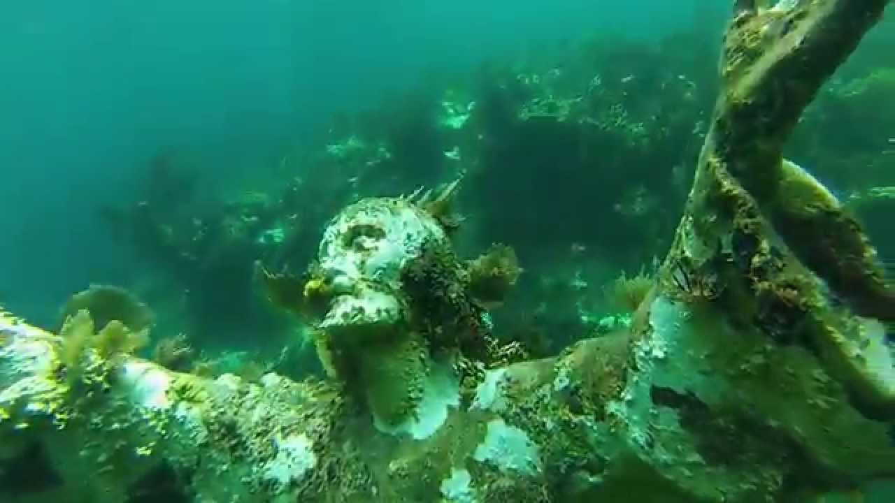 Great snorkeling in Key Largo Christ of the Abyss Molasses reef