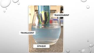 Science Revision - What is the difference between Transparent and Translucent.