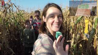 Undley Pumpkin Patch 2018 UK