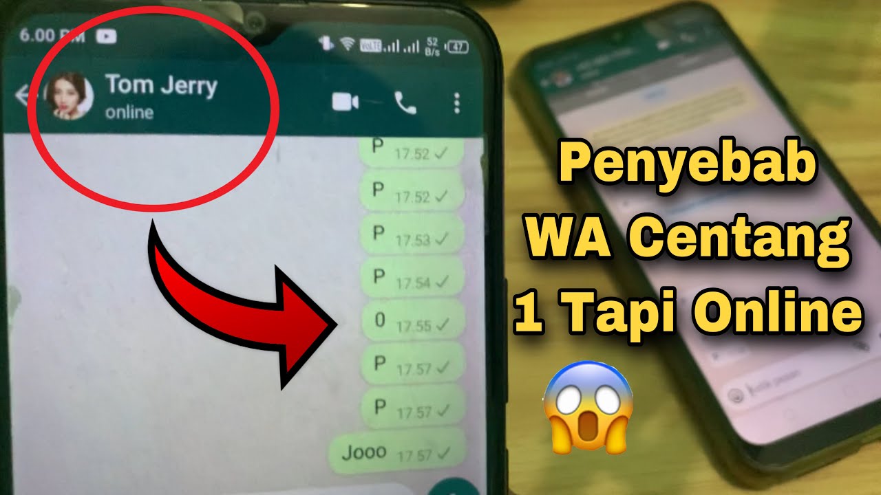 Penyebab WA Centang 1 Tapi Online Kenapa ?? Tonton Ini - YouTube