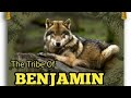 The Tribe Of Benjamin