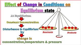 Equilibrium Chemistry Class 11 Le chatelier's principle | Chemical Equilibrium ( in Urdu / Hindi)