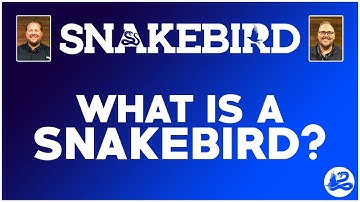 Episode 1: What is a Snakebird?