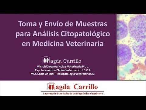 Toma y envío