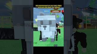 congratulations to RACCOON WINNER #roblox