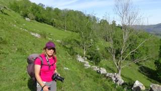 08-05-2017-Fotos de  Rubalcaba-El Rellano-El Codadillo-La Ballosera-La Cantolla-Mirones-La Vega