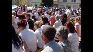 Gyenes_Niki_ballagása_20120505.wmv