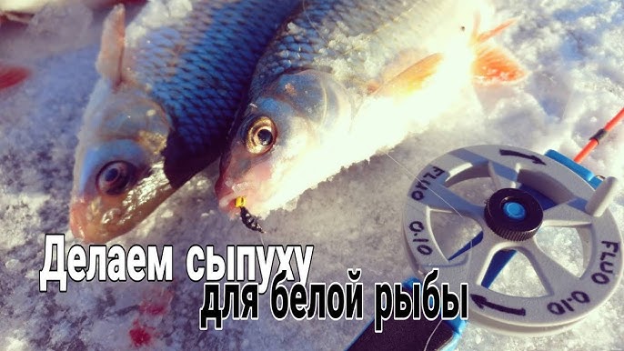 Все виды рыб Санкт-Петербурга и Ленинградской области