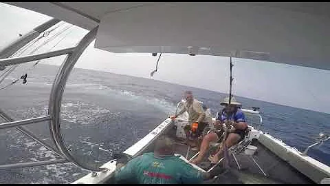 Marlin jumps in boat
