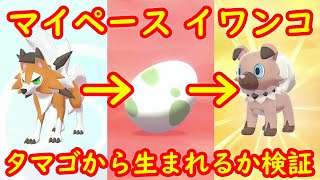 マイペース イワンコ タマゴから生まれるか検証 鎧の孤島 ポケモン剣盾dlc Youtube