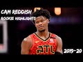 Cam Reddish 2019-20 Season Highlights | Rookie Year!