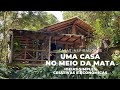 Uma casa no meio da mata ideias simples criativas e econmicas