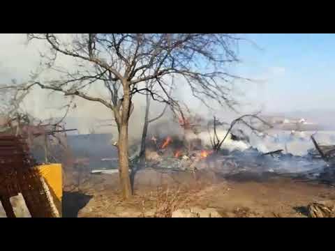 ACTUALIZARE Incendiu de amploare într-o gospodărie din Brusturi &#8211; cinci animale arse, ZCH NEWS - sursa ta de informații