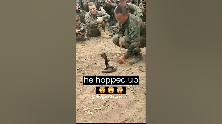 This Solder Tamed A Snake 😲😲#shortvideo #funny #entertainment