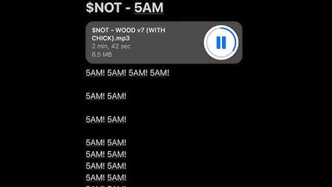 Snot - 5AM/ Wood (snippet)