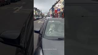 Dog Honks Car Horn While Waiting for Owner