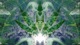 Sky High - KalEYEdoscope Creations - Trippy Video