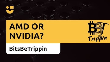 NiceTalk + BitsBeTrippin: AMD or NVIDIA?