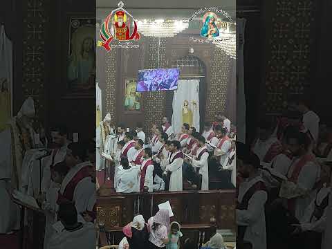 المزمور السنجاري قداس عيد القيامة 2024 مدرسة البابا ديسقوروس للشمامسة 