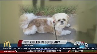 Police: Small dog fatally stabbed during burglary
