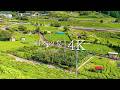 【日本の夏の原風景】岐阜のマチュピチュ 天空の茶畑を訪ねて - JAPAN in 4K