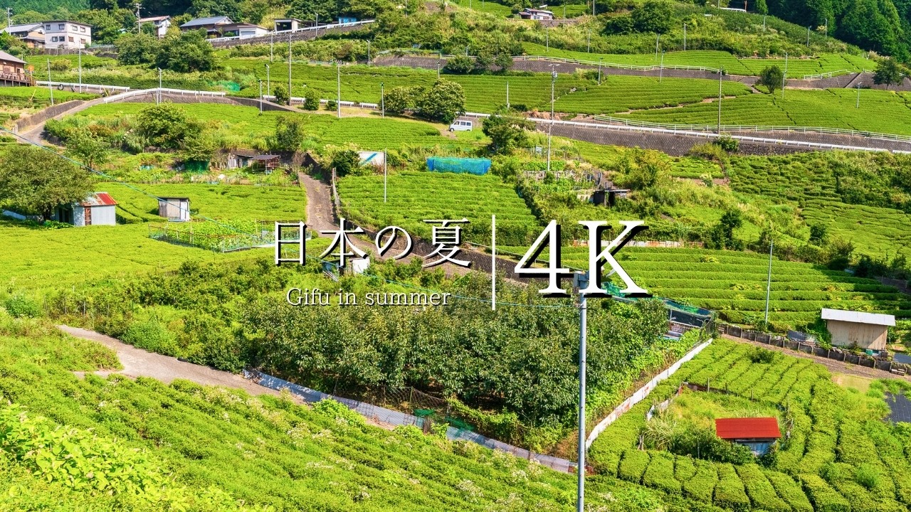 【日本の夏の原風景】岐阜のマチュピチュ 天空の茶畑を訪ねて - JAPAN in 4K