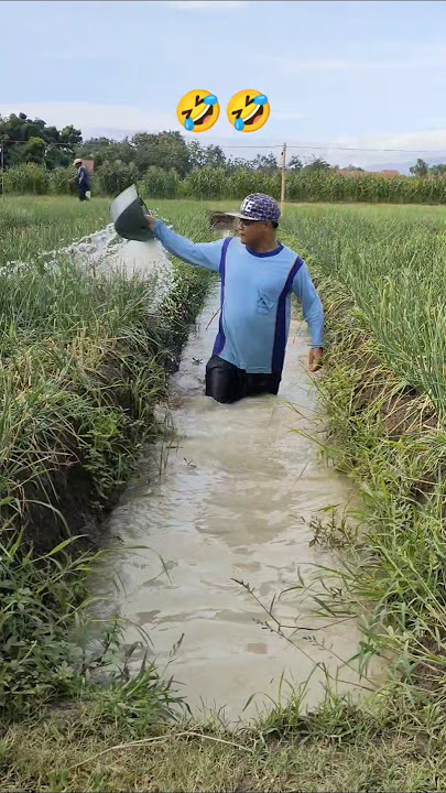 Download lagu #bawangmerah #fishin #jalanyangjauhjanganlupapulang #agriculu