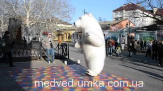 Белый медведь отжигает (Break Dance B-bear)