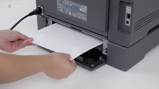 Famous C3426dw/CS431dw/MC3426adw/CX431adw—Paper jam in optional tray Net Worth
