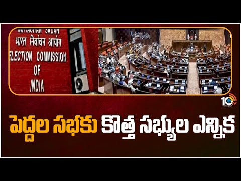 పెద్దల సభకు కొత్త సభ్యుల ఎన్నిక | Special Story on MP Elections | 10TV News