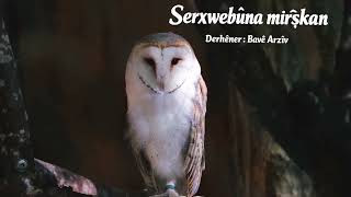 Serxwebûna mirîşkan 