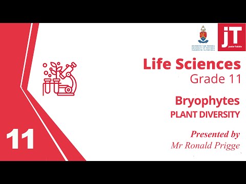 1  Gr 11 - Life Sciences - Plant Diversity - Bryophytes