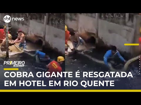 Video sucuri-de-5-metros-e-encontrada-em-resort-lotado-em-goias-primeiro-impacto