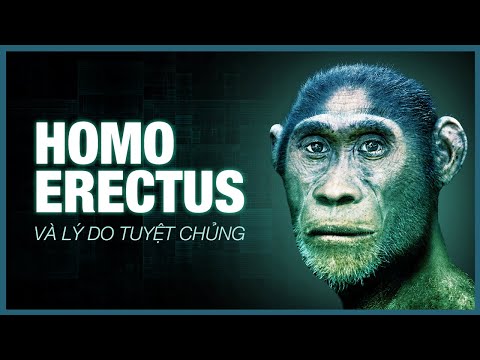Loài Người Lạc Lối - Điều Gì Đã Xảy Ra Với Tổ Tiên Thời Tiền Sử Của Chúng Ta? | Vũ Trụ Nguyên Thủy