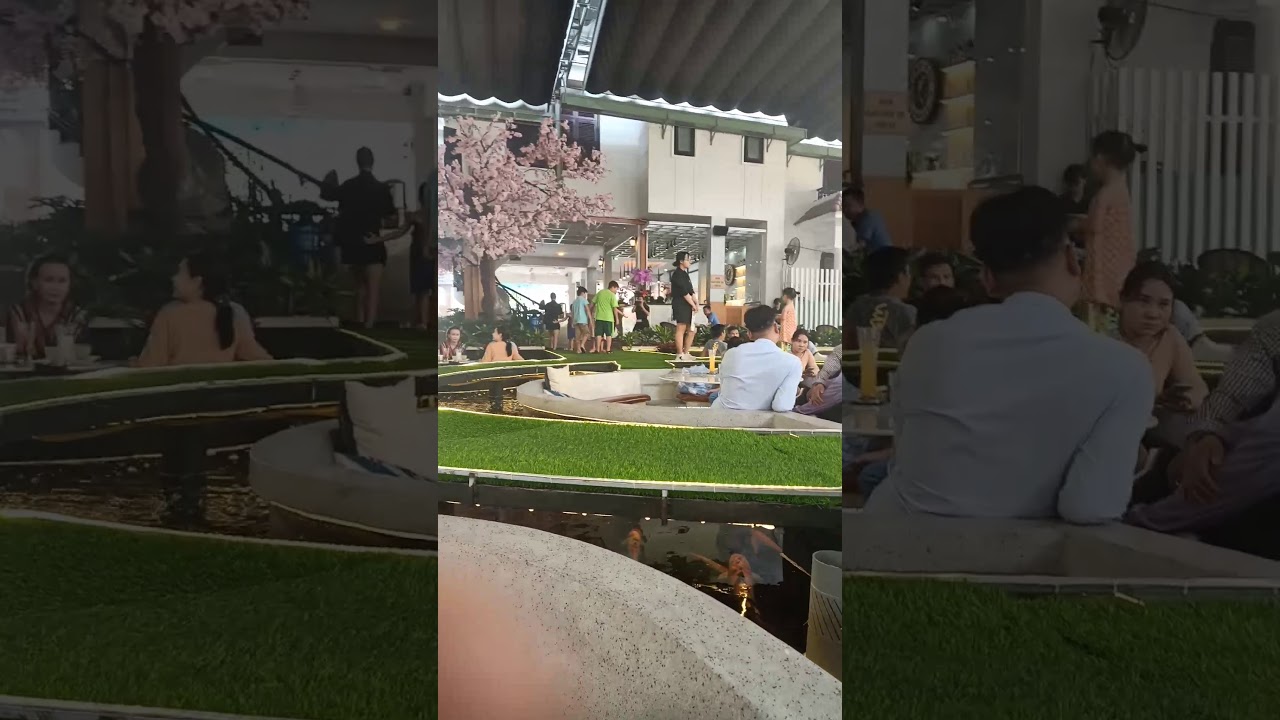 Coffee king koi YouTube