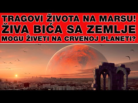 Video: Ekstremni Oblici života Mogu živjeti U Svemiru - Alternativni Prikaz