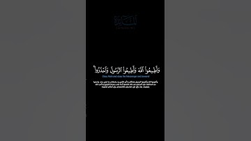 سورة المائدة:الآية[٩٢]#القرآن_الكريم#الفرقان #سورة_المائدة#القران_الكريم #قران_كريم #قران #قرآن_كريم