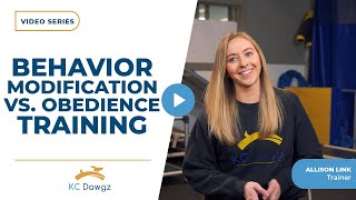 Behavior Modification vs. Obedience Training: What's the Difference?