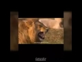 سيشعرك بالفرحة انا متؤكد _ç"'_"'"ç'_"'ç_'"_é"çé"'ç'é"ç'é"'çé""'